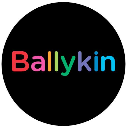 The Ballykin Group